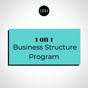 1 on 1 Business Structure Program