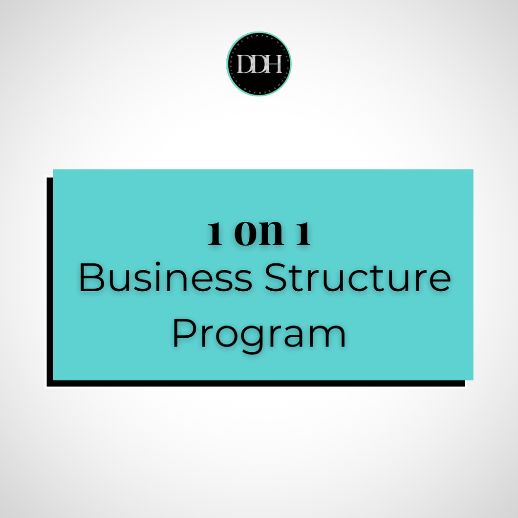 1 on 1 Business Structure Program